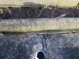 image of grave number 362921